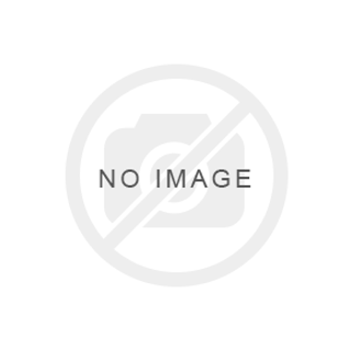 Imagen de RODAMIENTO DE BOLAS UBC 6004-2Z-C3